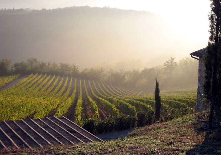 Pohled z Vignale na Tuscany