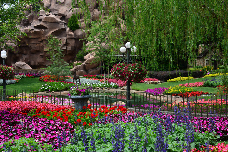 Květiny všeho druhů v Disneylandu na Floridě
